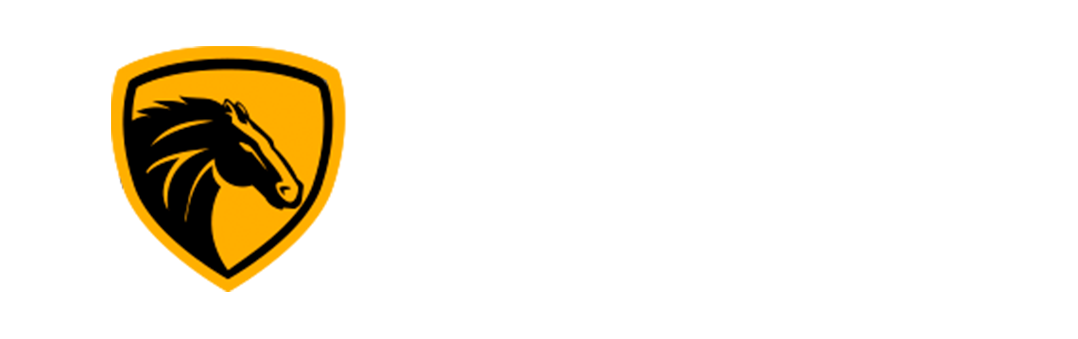 Merak Motors